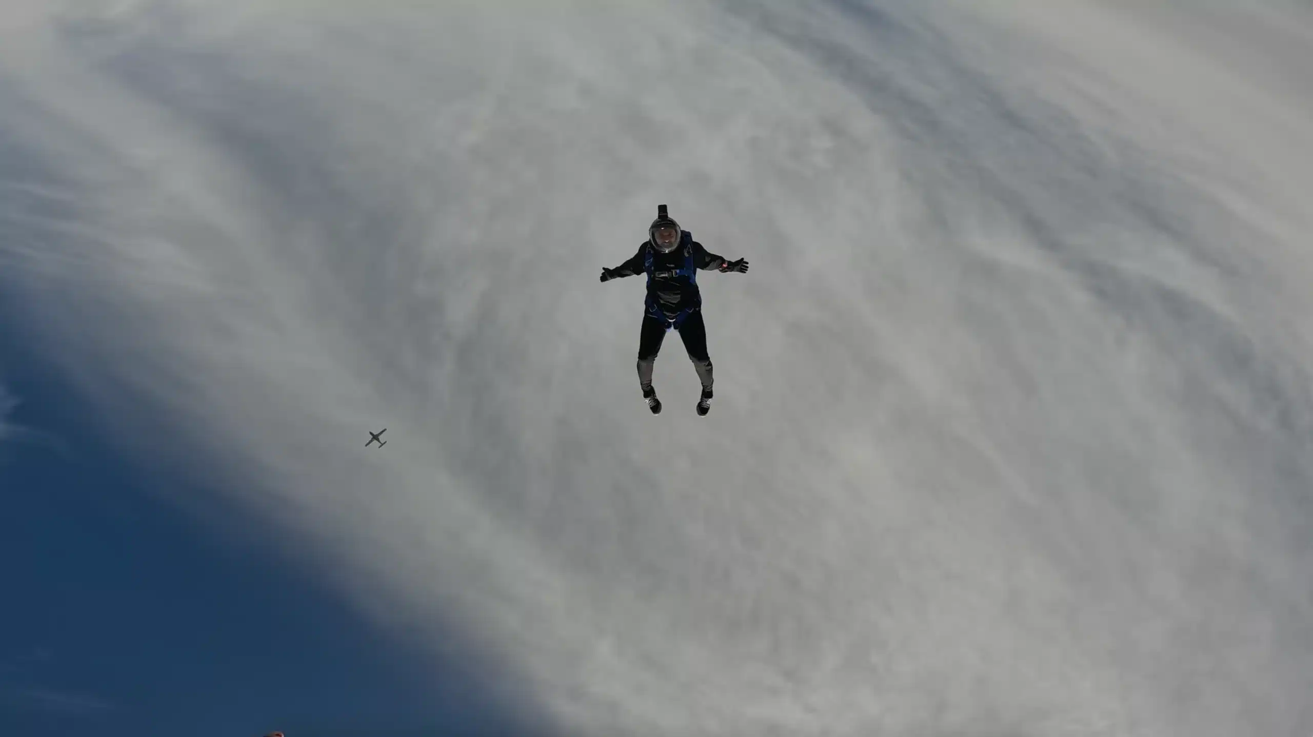 WordPress Consultant